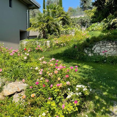 Arcolive Agrisuite Dış mekan fotoğraf